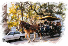 Carriage rides in Charleston, South Carolina